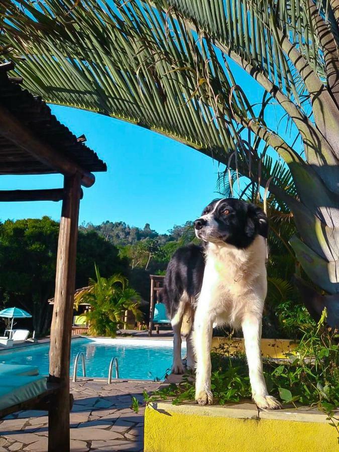 Guest house Fazenda Paisagem