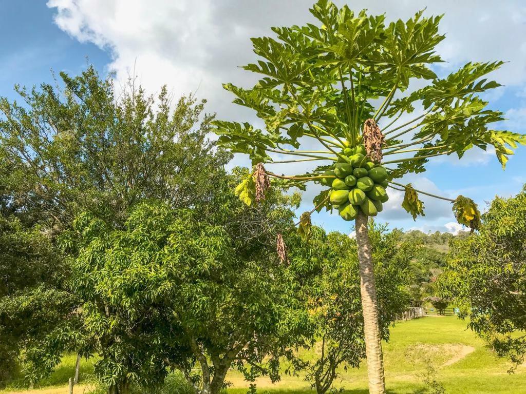 Fazenda Paisagem Serra Negra (Sao Paulo)